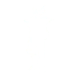 Chaos Castle 1