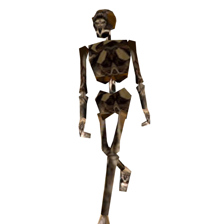 Skeleton